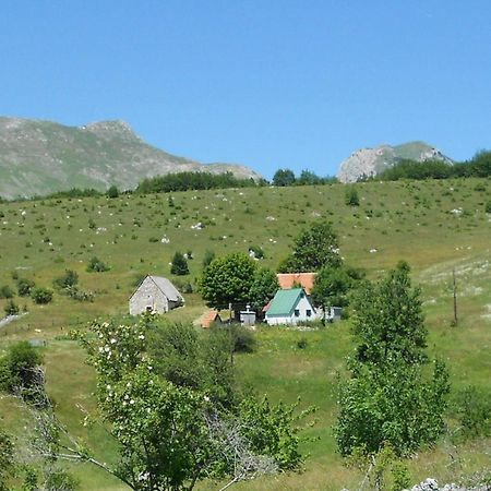 Suri Casa de hóspedes Plužine Exterior foto