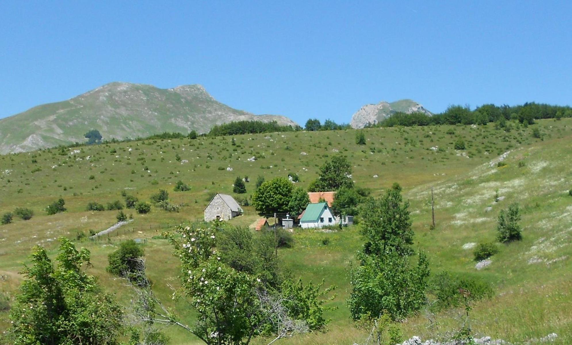 Suri Casa de hóspedes Plužine Exterior foto